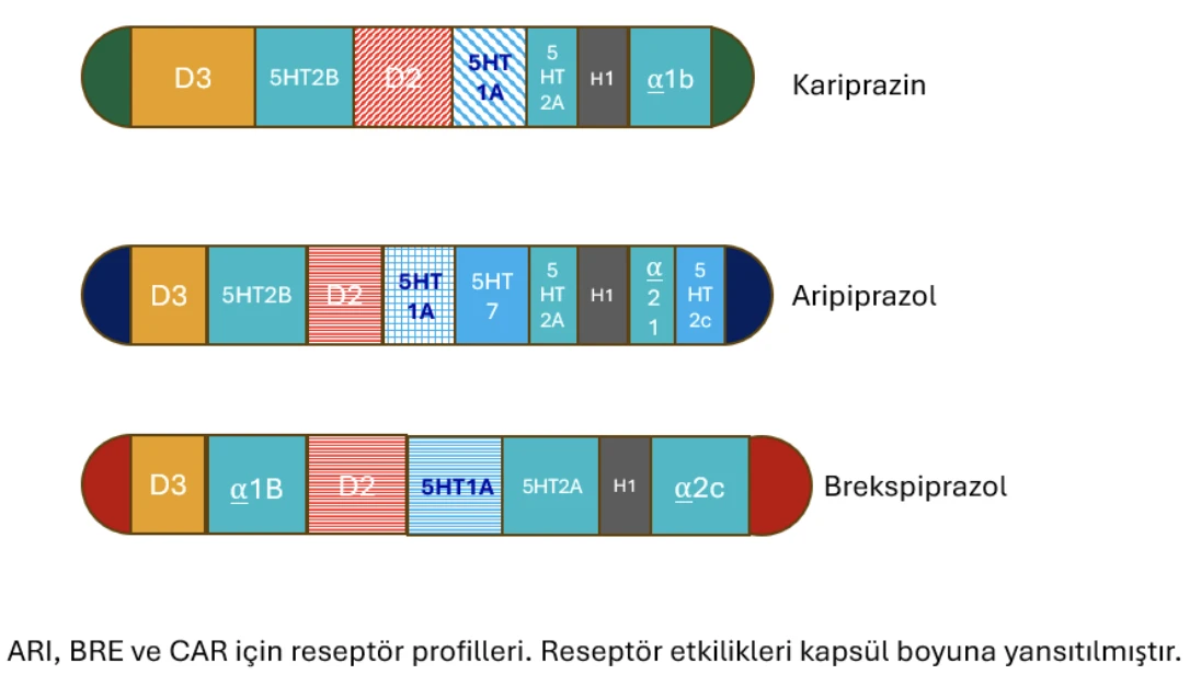 Aripiprazol dopamin D2 reseptör blokaj grafiği